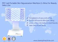 सौंदर्य मशीन के लिए पीडीटी एलईडी पोर्टेबल त्वचा कायाकल्प मशीन L5-Alina