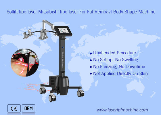 अच्छी कीमत 220v पोर्टेबल क्रायोलिपोलिसिस मशीन 6d लिपोलेसर ज़ेरोना ब्यूटी ऑनलाइन