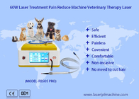 पालतू जानवरों के घाव भरने के लिए 980 एनएम डायोड पशु चिकित्सा लेजर थेरेपी