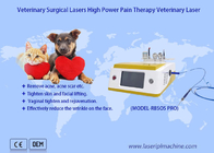 पालतू जानवरों के दर्द से राहत सर्जिकल 980 एनएम डायोड लेजर पशु चिकित्सा थेरेपी लेजर डिवाइस