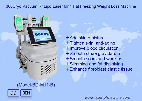 सेल्युलाईट हटाने के लिए डबल चिन हैंडल के साथ 360 Cryo 40K कैविटेशन बॉडी स्केल्पिंग