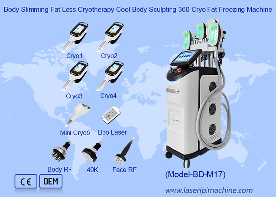 शरीर का वजन घटाने वसा हानि क्रिओथेरेपी कूल शरीर मूर्तिकला 360 Cryo वसा फ्रीजिंग मशीन