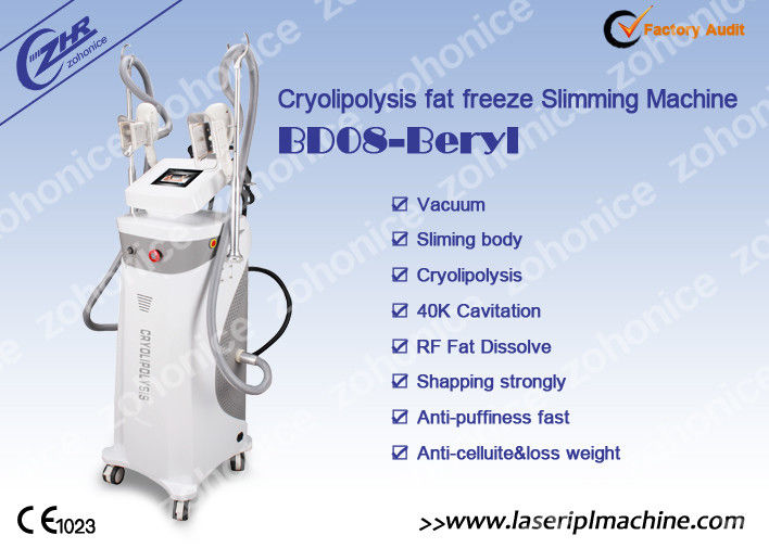 40K Cavitation Sharp Cryolipolysis Slimming Machine Vertical For Weight Loss