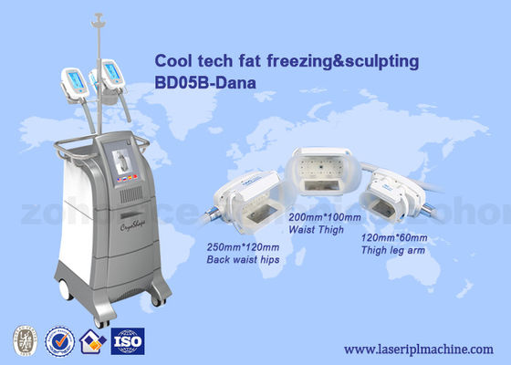 अच्छी कीमत 3 Size handles cryolipolysis cool slim body sculpting equipment / criolipolisys machine ऑनलाइन