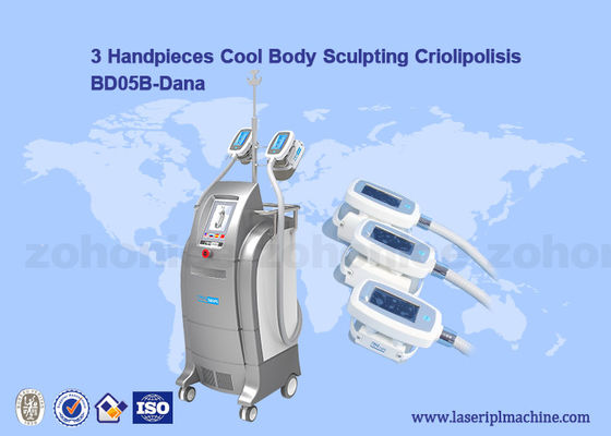 अच्छी कीमत Vacuum Cryolipolysis / Cool Body Sculpting Membrane / Criolipolisis Cellulite Reduction Machine ऑनलाइन