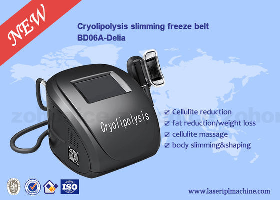 अच्छी कीमत Portable Body Sculpting Cryolipolysis Slimming And Weight Loss Machine ऑनलाइन