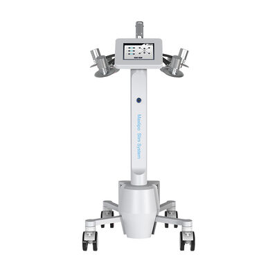 अच्छी कीमत 532nm ग्रीन लाइट लाइपो लेजर मशीन वजन घटाने सेल्युलाईट हटाना ऑनलाइन