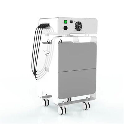 अच्छी कीमत ईएमएस रेडियो फ्रीक्वेंसी Eswt उपकरण पीठ दर्द से राहत स्वास्थ्य देखभाल ऑनलाइन