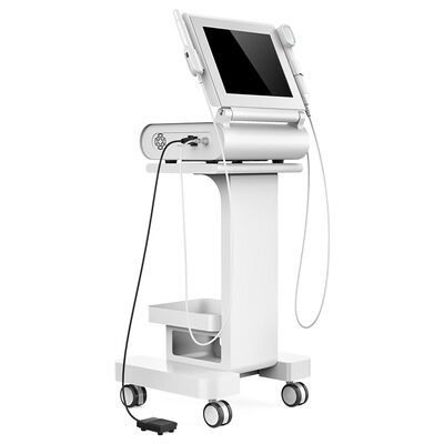 अच्छी कीमत 15 Inches Screen 2 In 1 Ultrasound Face Lift Machine / Vaginal Tightening Equipment ऑनलाइन