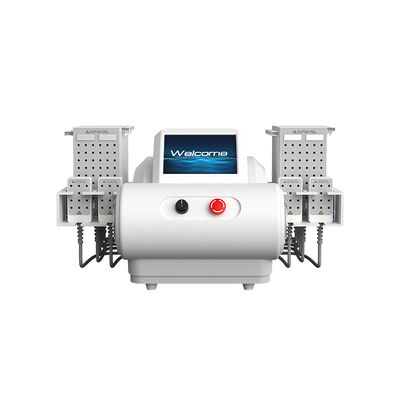 635nm 650nm 940nm 980nm डायोड लेजर ईएमएस प्लेट लिपोसक्शन बॉडी स्लिमिंग मशीन