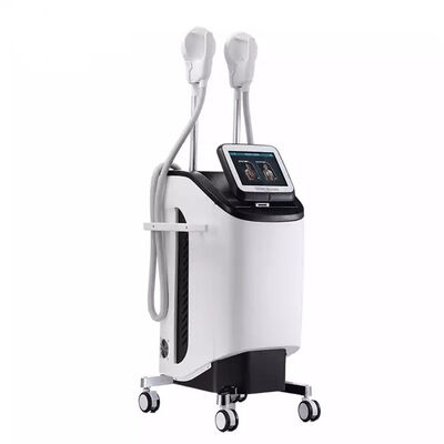 अच्छी कीमत 2.3KVA बॉडी स्लिमिंग 220v 300µS ईएमएस स्नायु उत्तेजक ऑनलाइन