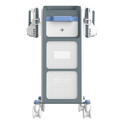 अच्छी कीमत स्पा और फिटनेस के लिए विद्युत मांसपेशी उत्तेजना उपकरण ऑनलाइन