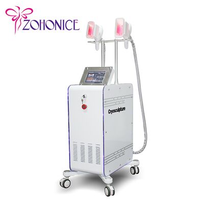 अच्छी कीमत 2 Changeable Handle Cryolipolysis Slimming Machine With Antifreezing Membrance ऑनलाइन