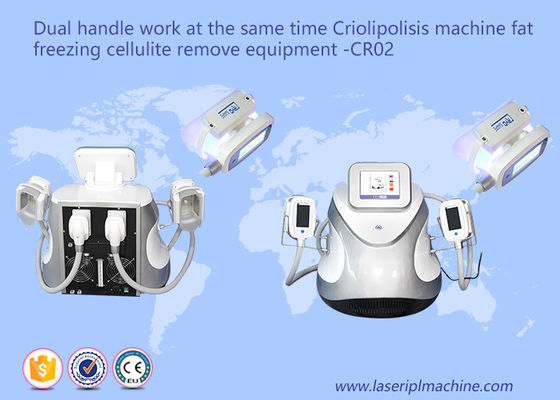 अच्छी कीमत दोहरी संभाल वसा ठंड सेल्युलाईट वजन घटाने मशीनें CR02 110v / 220v ऑनलाइन