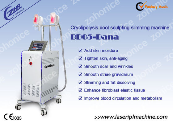 अच्छी कीमत 2 Changeable Handle Cryolipolysis Slimming Machine With Antifreezing Membrance ऑनलाइन